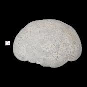 Pierre des Fées Pierre Brute - "Cyclope" 15275