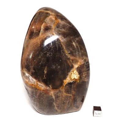 Pierre de Lune Noire Forme Libre 15580