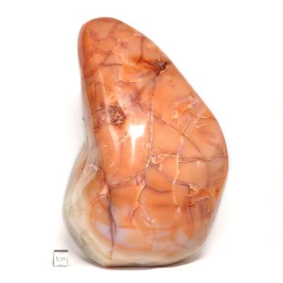 Cornaline chauffée forme libre 15647