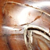 Cornaline chauffée forme libre 15655