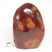 Cornaline chauffée forme libre 15659