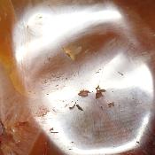 Cornaline chauffée forme libre 15659