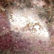 Rhodonite Forme Libre 15681