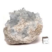 Célestine Pierre brute 15738