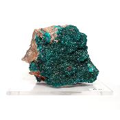 Dioptase Pierre Brute 15764