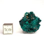 Dioptase Pierre Brute 15766