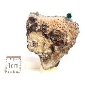 Dioptase Pierre Brute 15773