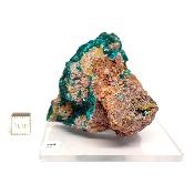 Dioptase Pierre Brute 15774