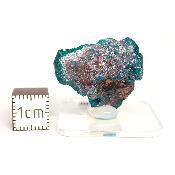 Dioptase Pierre Brute 15790
