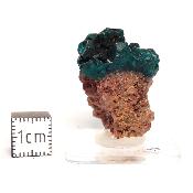 Dioptase Pierre Brute 15810