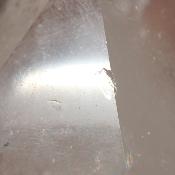 Cristal de Roche Pointe Polie 15884