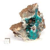 Dioptase Pierre Brute 17873