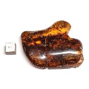 Ambre de la Baltique morceau poli 2036