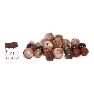 Bois Fossile Perles