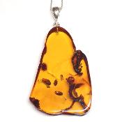 Ambre de la Baltique - Pendentif 05667