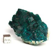 Dioptase Pierre Brute 11748