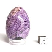 Charoite Oeuf 14902