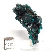 Dioptase Pierre Brute 15779