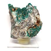 Dioptase Pierre Brute 17884