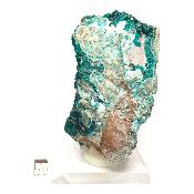 Dioptase Pierre Brute 19355