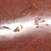 Bois Fossile Coeur 2049